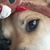 Nancy Wright's profile image