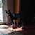 Carol White's profile image