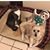 Sharon Newman Ehrlich's profile image
