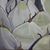 Patti Belbin's profile image