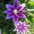 Linda Hamilton Edgecomb's profile image