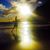 Jennifer Thackray's profile image