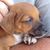 Dawn Price Marsh's profile image