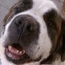 Paula D.'s profile image