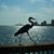 Tony Boutwell's profile image