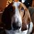 Marcy Laub's profile image