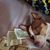 Tammy Rishel-Lopez's profile image