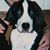 Mary Strickler's profile image