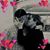 Amy De Boom's profile image