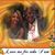 Deb Furniss's profile image