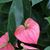 Erin Shaw's profile image