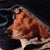 Wendy Knospe's profile image