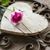 Rose Carter's profile image
