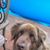 Nancy Davidsen Box's profile image