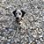 Walter Wykes's profile image