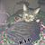 Amy Smith's profile image
