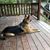 Tammy Hathaway Wieck's profile image