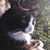 Jenny Krislov's profile image