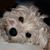 Kathleen Duffy Rapp's profile image