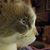 Marjorie Dzerk's profile image