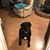 Karen W. Morris's profile image