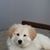 Kristeen Hanson's profile image