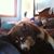 James E. Hesch's profile image