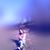 Brianna Perkey's profile image