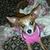 Shirley Phillips's profile image
