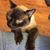 Dolores Sisk's profile image