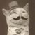 Steve Gill's profile image