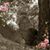 Diane Dumont Cluff's profile image