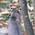 Lynn Harris's profile image
