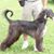 Kelli Schade-Miller's profile image