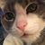 Linda Hollimon's profile image