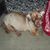 Donna Nelson's profile image