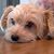 Carl Dahler Jr.'s profile image