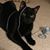 Karen Riegel's profile image