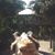Jo Conrad's profile image