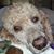 Louise Hawthorne's profile image