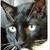Kathi Holmes-Tretter's profile image