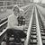Jocelyn Chandler's profile image