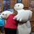 Penny Rittenberry's profile image