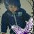 Ch Maya's profile image