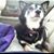 Missy Miller's profile image