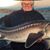 Bill Iverson's profile image