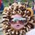 Jeanne McDonald's profile image