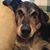Tami Merry's profile image