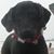 Sylvia Wolters's profile image