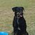 Elsie Sandefur's profile image